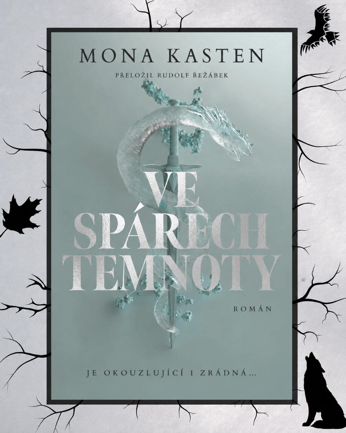 Ve spárech temnoty – Mona Kasten
